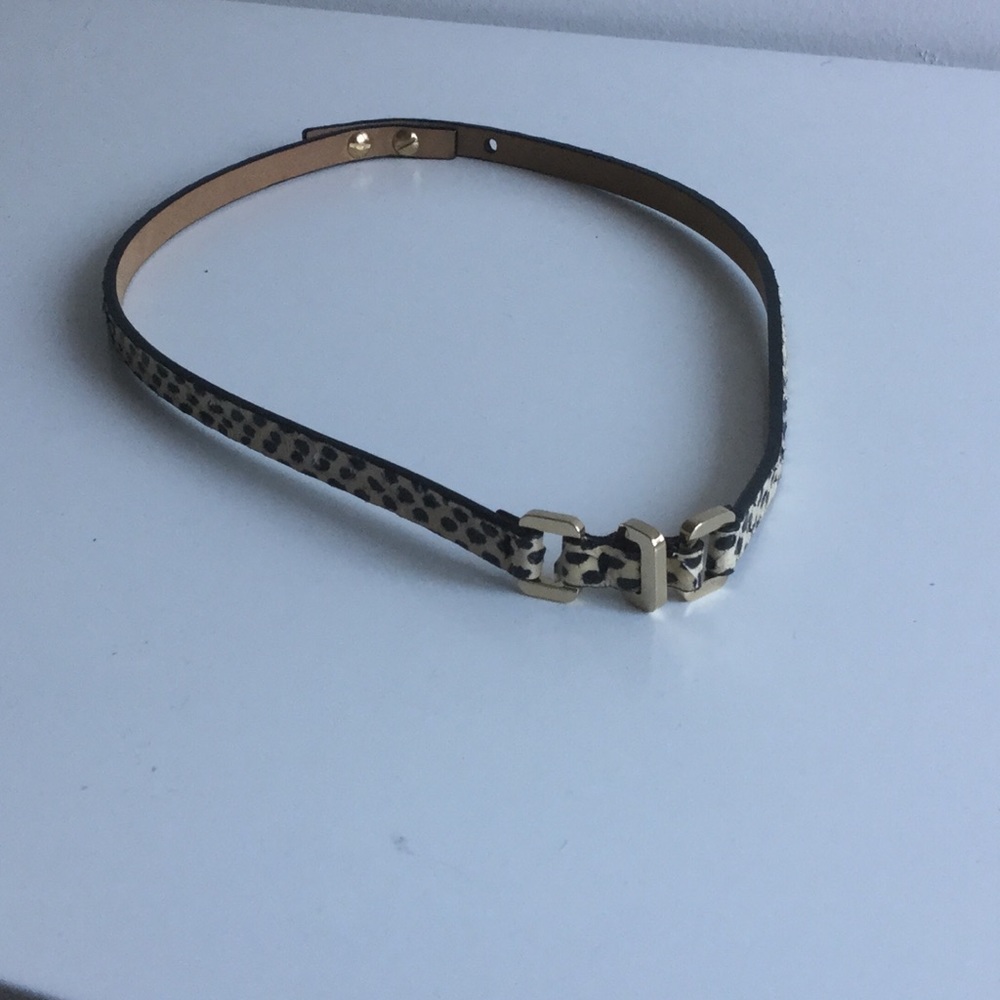 Jason Wu waist belt